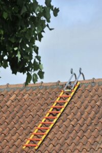 Image (ROOF LADDERS)